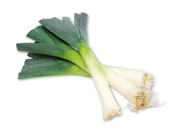 Dansk porrer