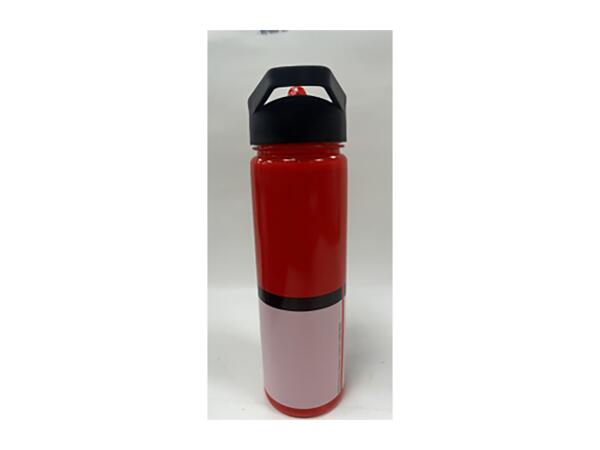 600ml Character Water Bottle - Pokémon