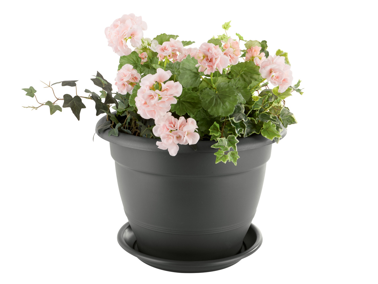 Blomkruka1