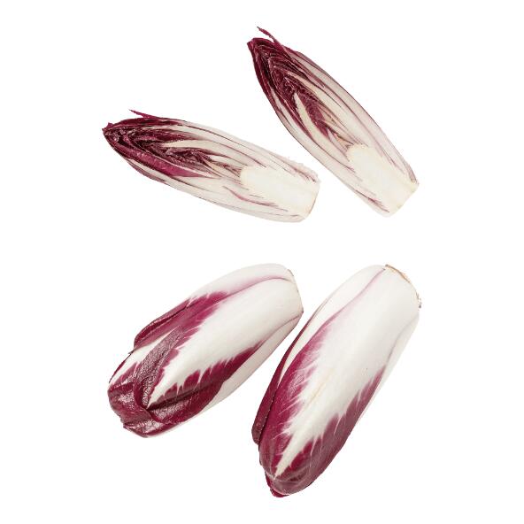 Radicchio