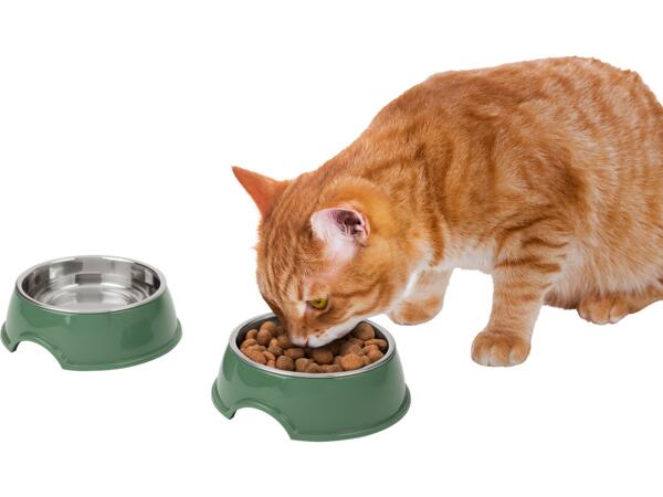 Dog Bowl / Mat Assortment