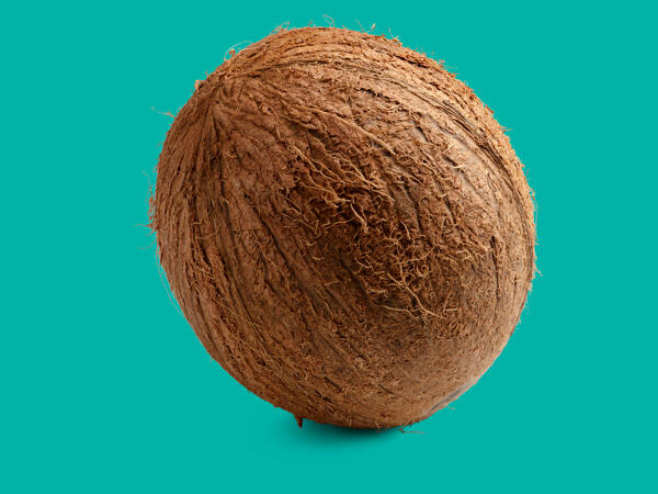 Coconut
