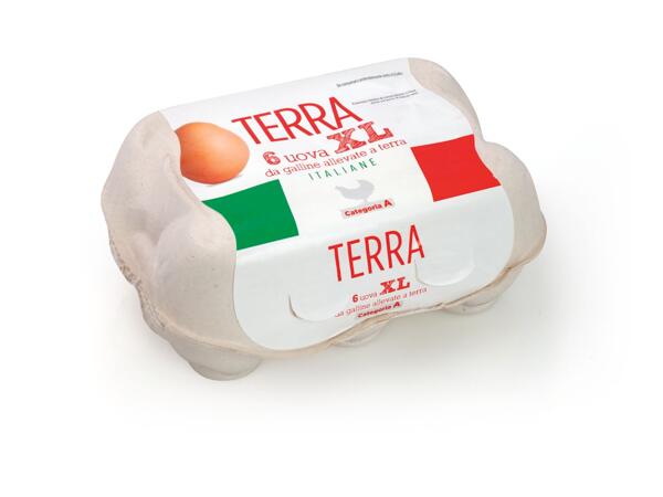 6 Barn Eggs XL