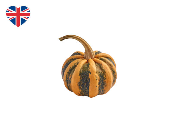 British Seasonal Squash