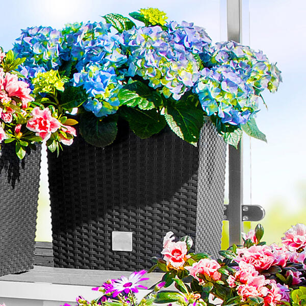 Blumentopf