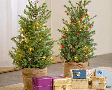 Geschmückter Weihnachtsbaum