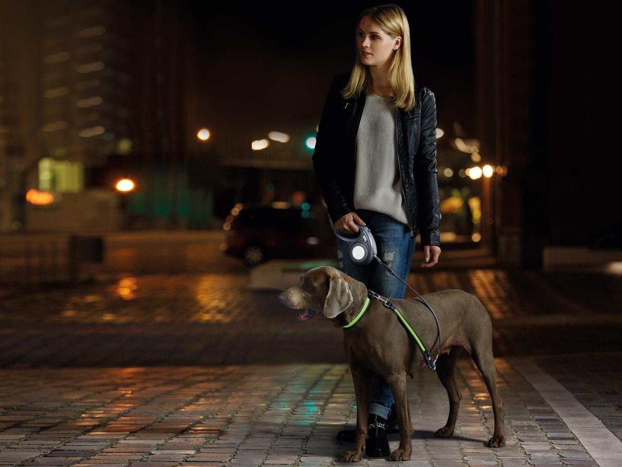 Zoofari LED Dog Collar or Glow Band1
