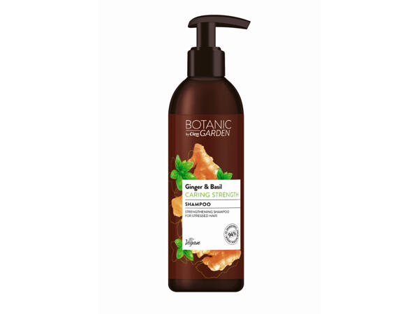 Shampoo