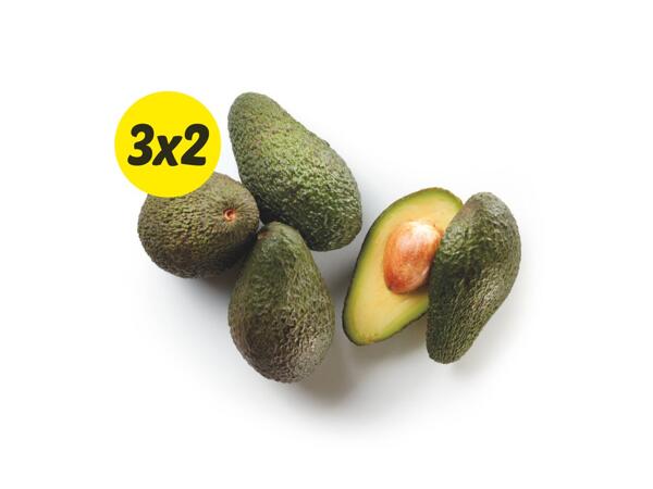 Avocado