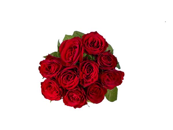 Premium bunch roses