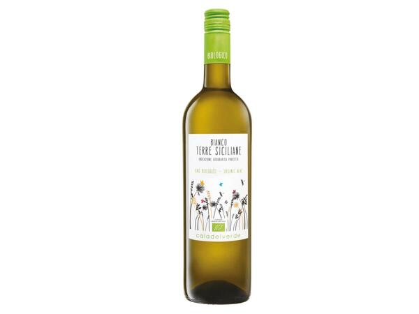 Cala del Verde Organic Bianco di Sicilia IGT
