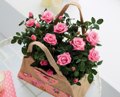 Mother's Day Luxury Rose Handbag