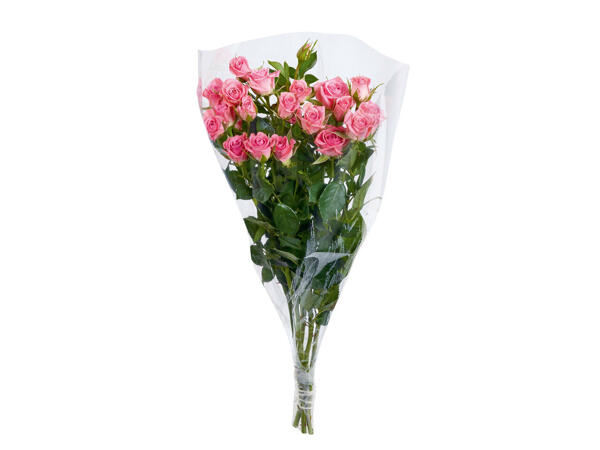 Roses en grappe