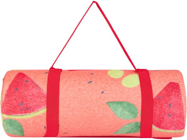 Picnic Blanket