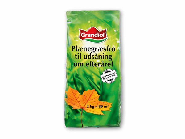 Plænegræsfrø