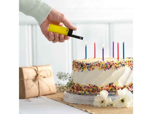 BIC Lighter
