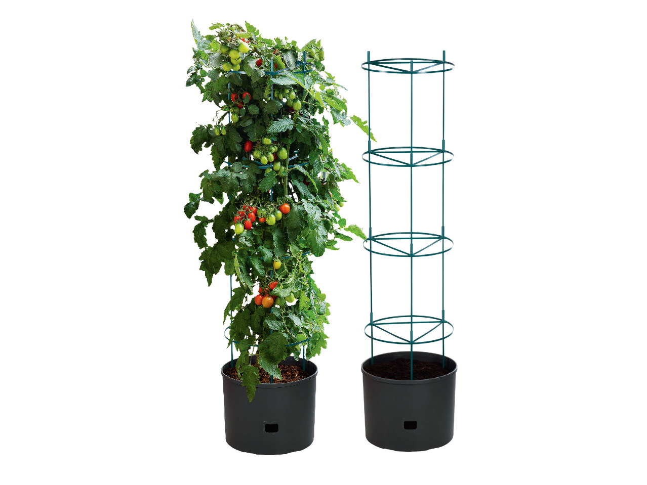 Tomato Planter
