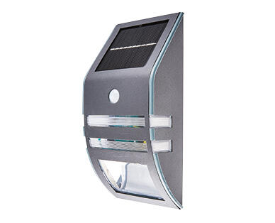 Solar Step or Wall Light