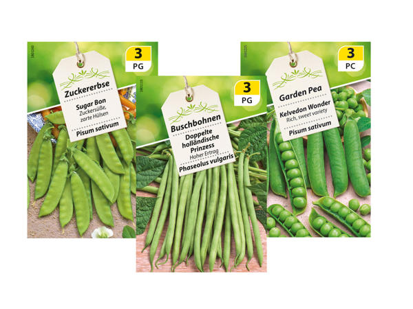 Pulse seeds