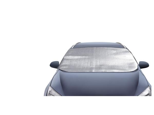 Thermal Windscreen Protector
