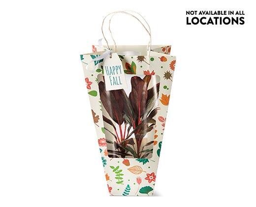Decorated Foliage Bag Assorted Varieties