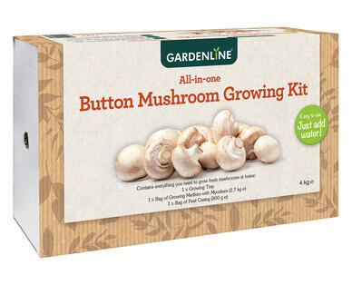Button Mushroom Growing Kit