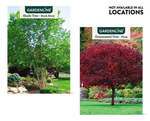 Gardenline 
 Shade or Ornamental Tree Assorted Varieties