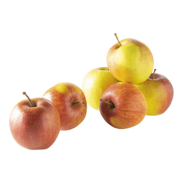Pommes Jonagold