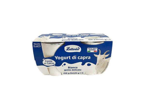 Sweetened White Goat Yogurt