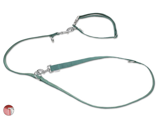 Hundehalsband/-leinen Set