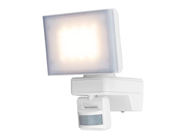 LED Outdoor Light