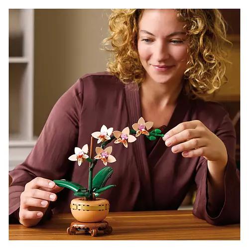 Botanical Premium Building Kit - Mini Orchid