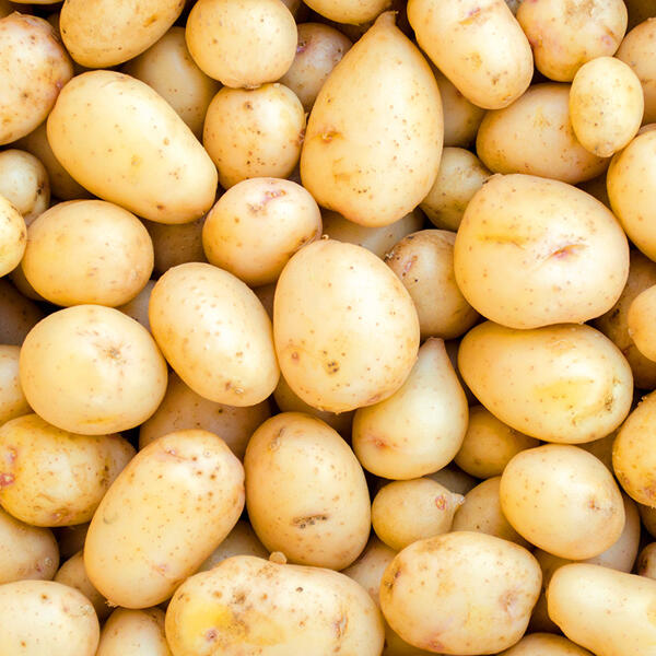 Speisekartoffeln