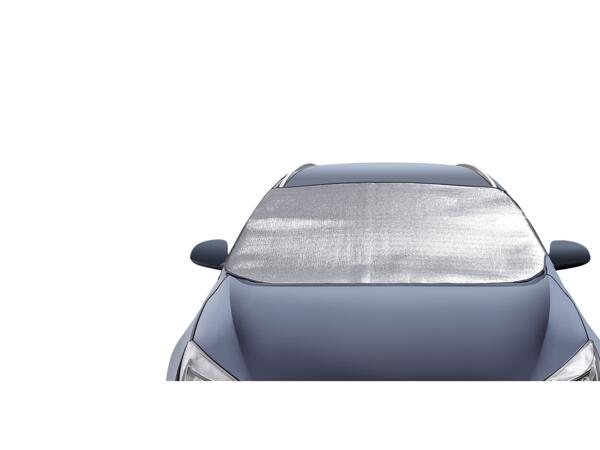 Thermal Windscreen Protector