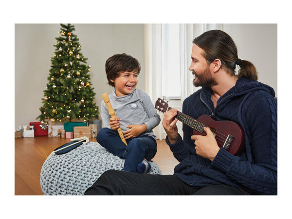 Ukulele Set