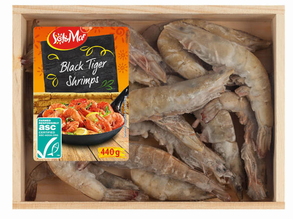 Crevettes tigrées du Vietnam