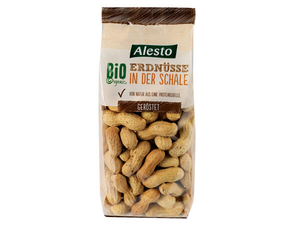 Bio Erdnüsse in der Schale