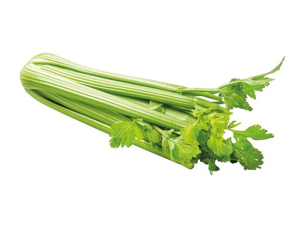 Celery