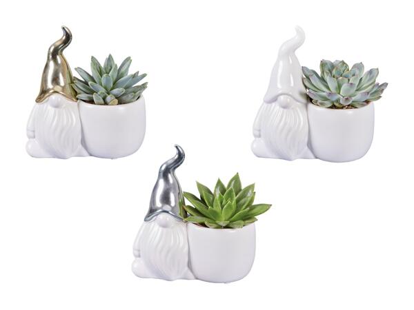 Plantes succulentes dans un pot en céramique en forme de lutin