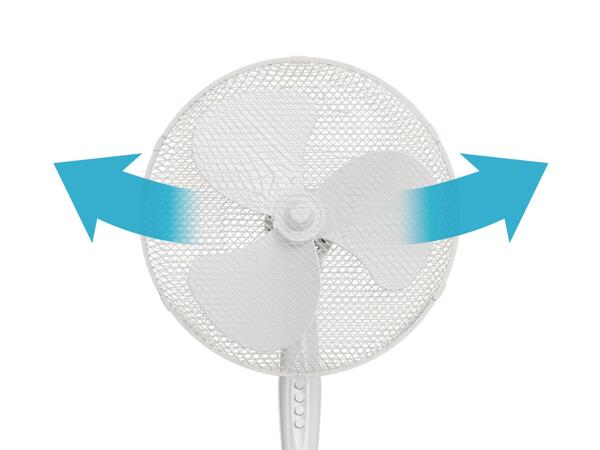 Pedestal fan
