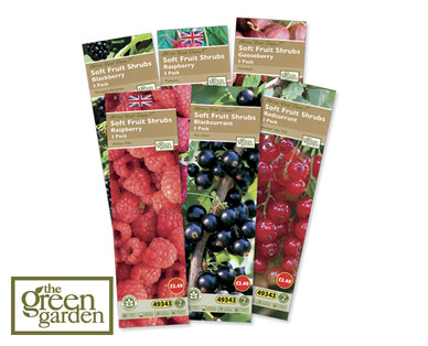 Soft Fruit Shrubs