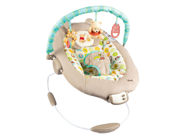Winnie the Pooh Bouncer
