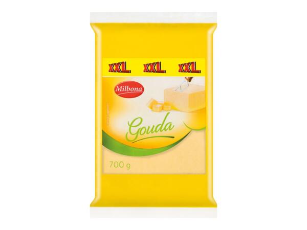 GOUDA XXL