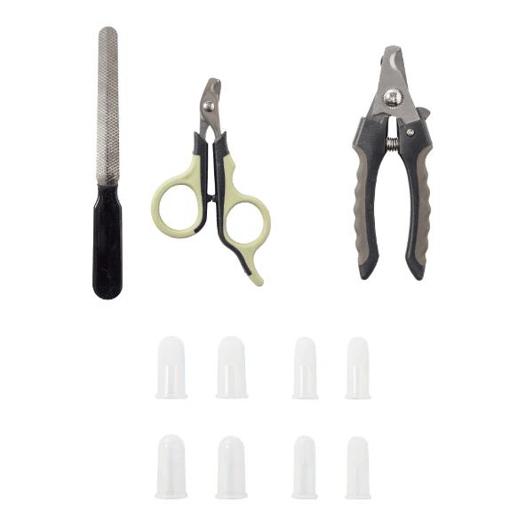 Soin des ongles ou soin dentaire pour animaux domestiques