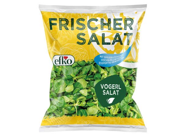 Efko Vogerlsalat