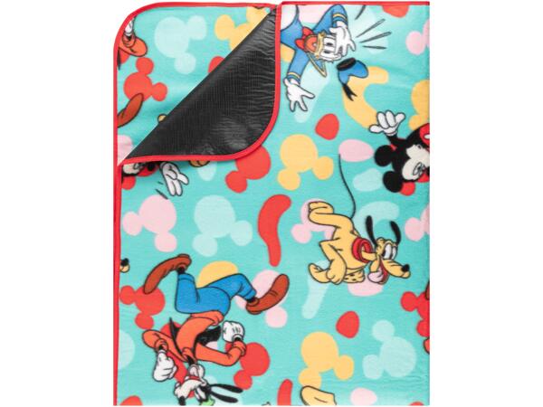 Picnic Blanket