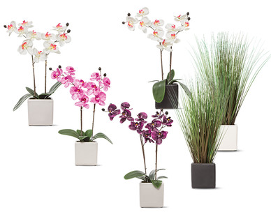 Huntington Home Decorative Orchid or Grass Assortment