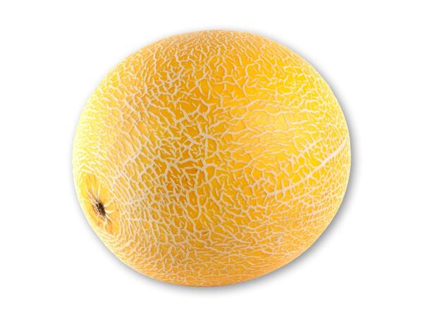 Honning- eller galiamelon