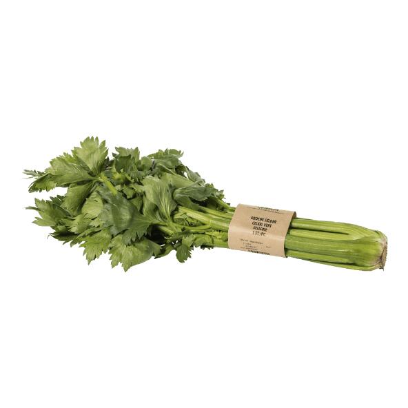 Céleri vert