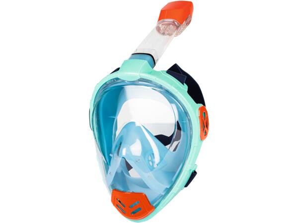 Snorkel Mask